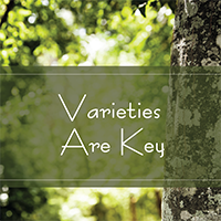 Varieties Are Key Varieties Are Key